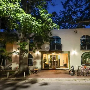 D'luxury Bakalar Bacalar